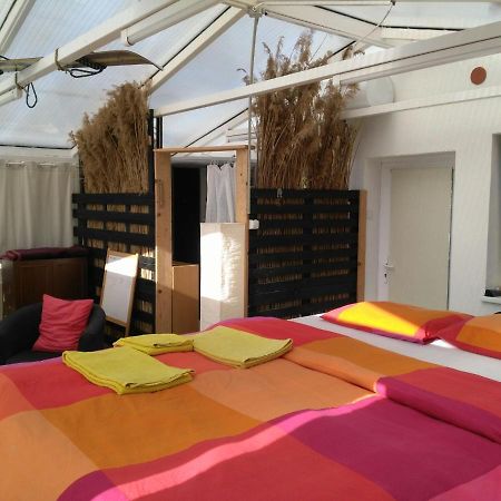 Greenhouse Just 15 Min From The Old Town Bratislava Exterior foto