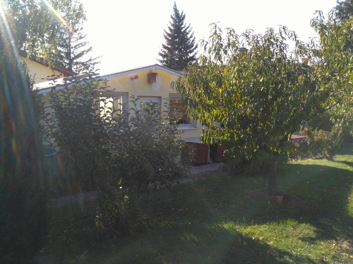 Greenhouse Just 15 Min From The Old Town Bratislava Exterior foto